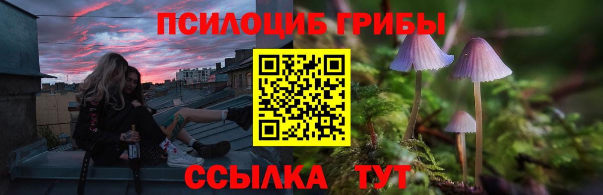 Галлюциногенные грибы Magic Shrooms  Псилоцибиновые грибы ЛСД  Карачаевск  дарнет шоп  Вход с VPN 